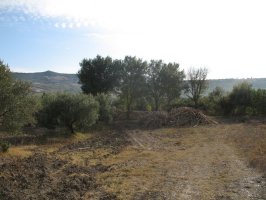 san-crispo-river-08 (27).jpg
